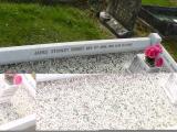 image of grave number 206846